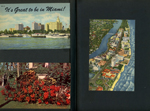 postcard It's Great to be in Miami! DC-13. postcard flowering bush. postcard Gold Coast - Miami Beach Florida DC-181.