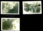 Silver Springs, Fla - from glass bottom boat. Boats at dock.